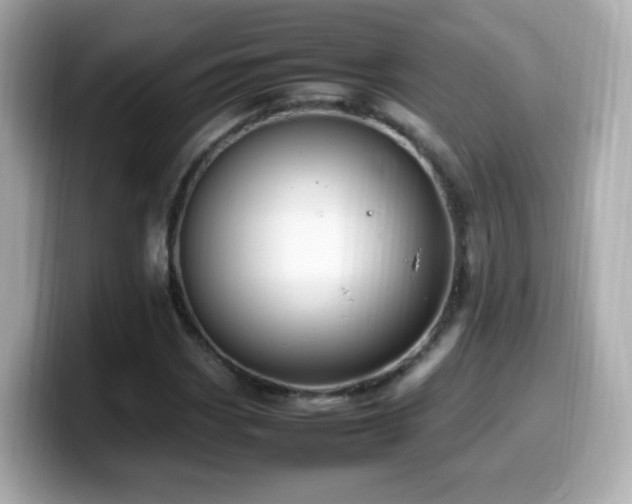 X0000099981113200805231419