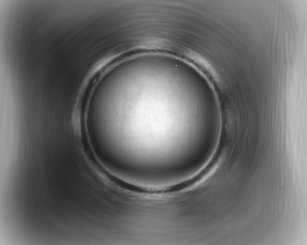 X0000099981114200805231419