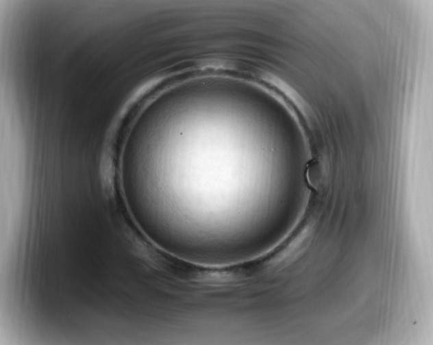 X0000099981115200805231419