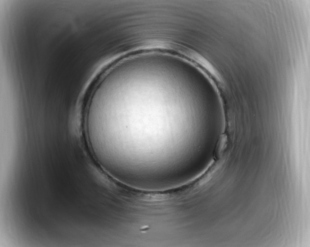 X0000099981116200805231419