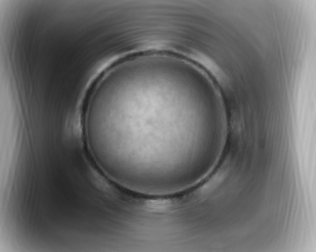 X0000099981118200805231419