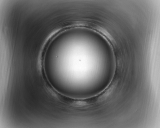 X0000099981119200805231419