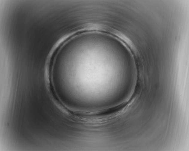 X0000099981120200805231419