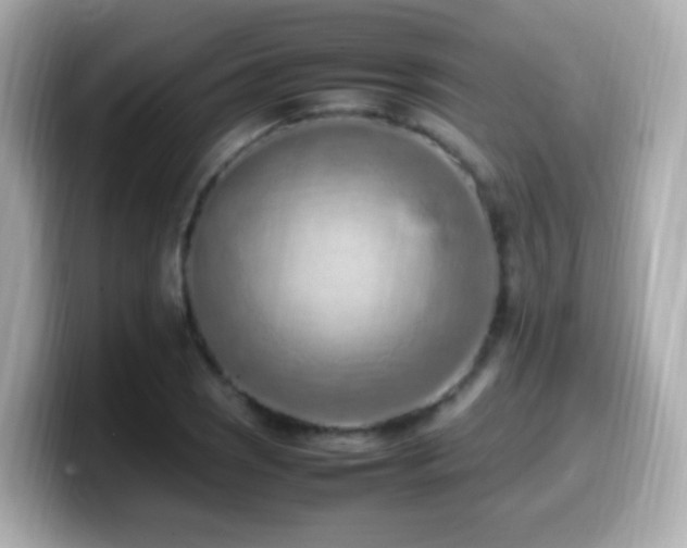 X0000099981121200805231419