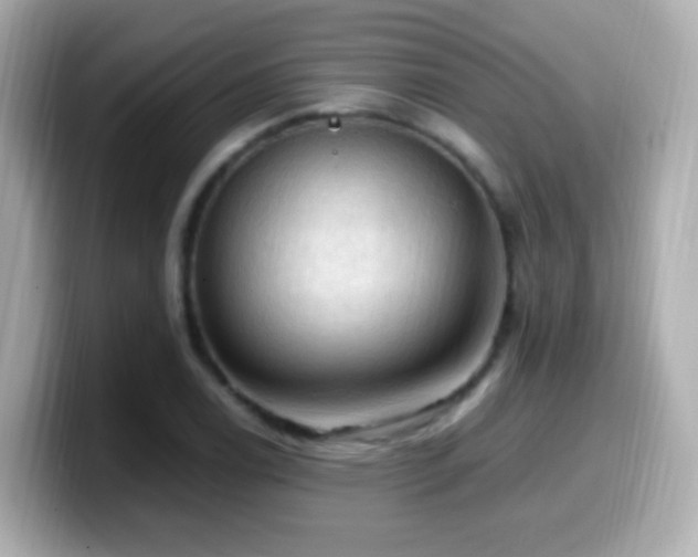 X0000099981122200805231419