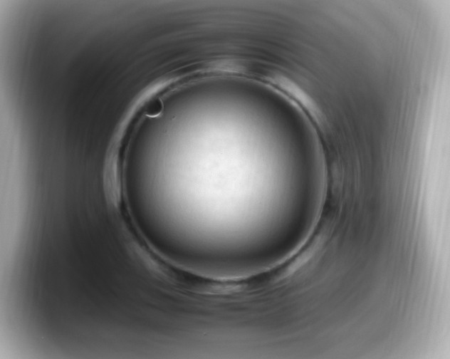 X0000099981123200805231419