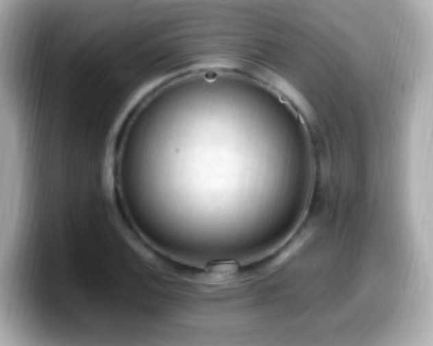 X0000099981124200805231419