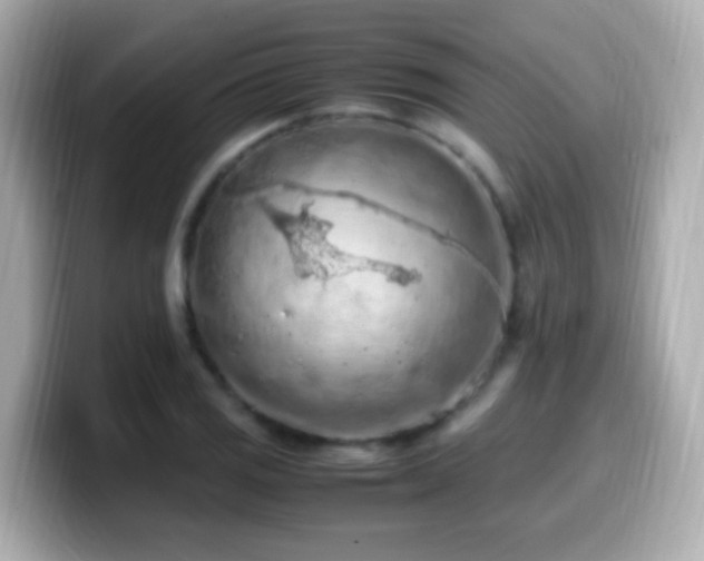 X0000099981125200805231419