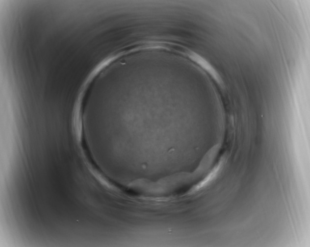 X0000099981127200805231419