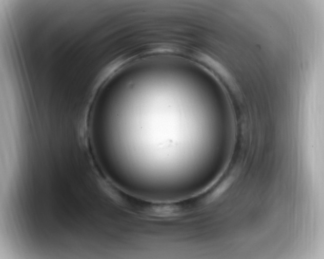 X0000099981129200805231419