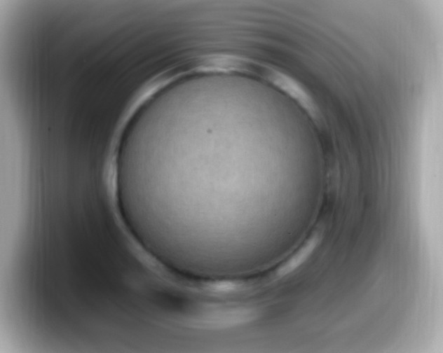 X0000099981130200805231419