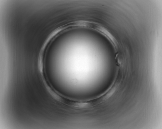 X0000099981131200805231419