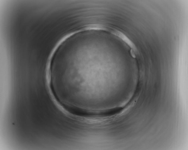 X0000099981132200805231419