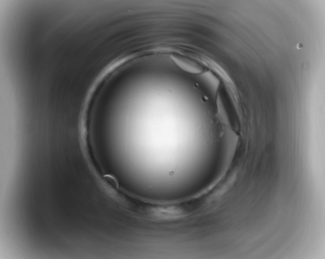 X0000099981133200805231419