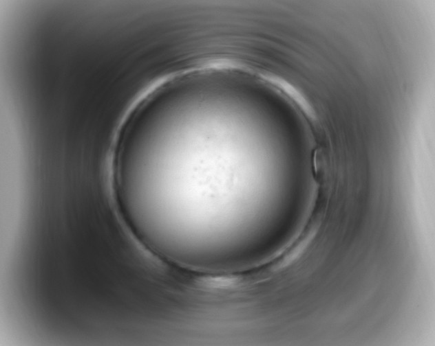 X0000099981134200805231419