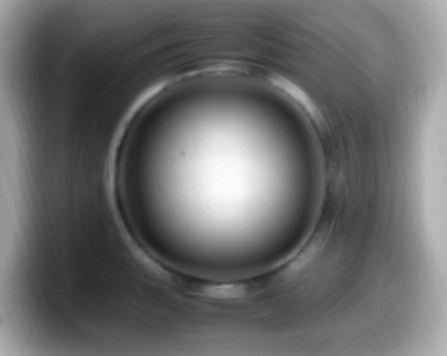 X0000099981135200805231419