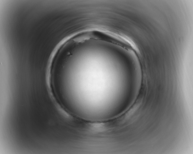 X0000099981136200805231419