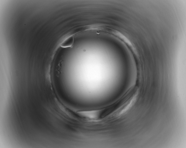 X0000099981137200805231419