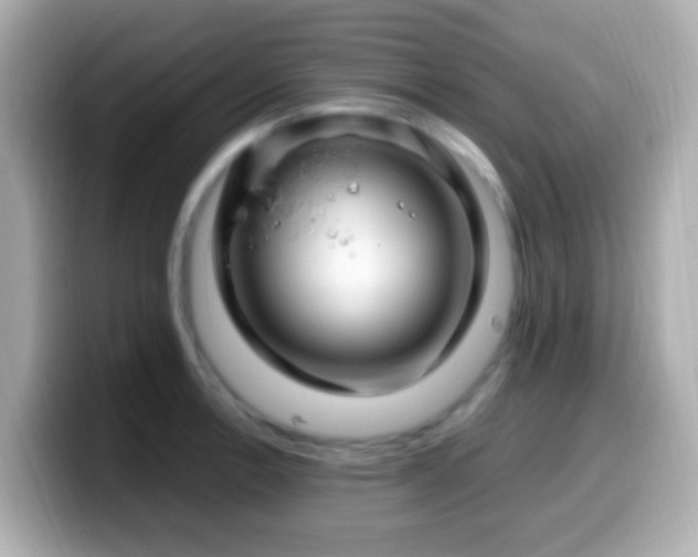 X0000099981138200805231419