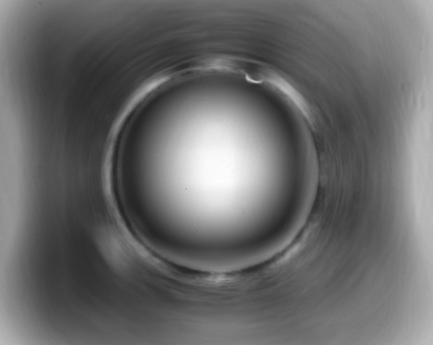 X0000099981139200805231419