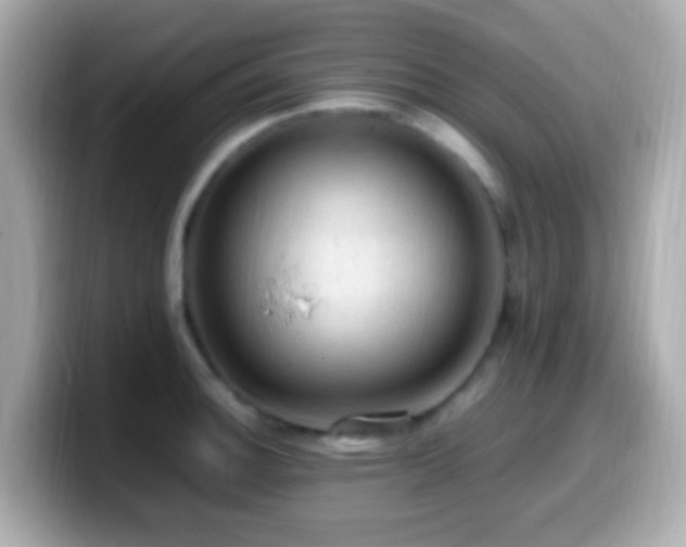 X0000099981140200805231419