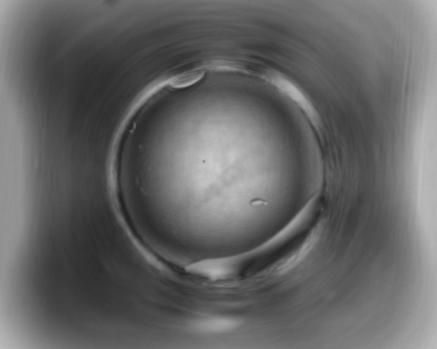 X0000099981141200805231419