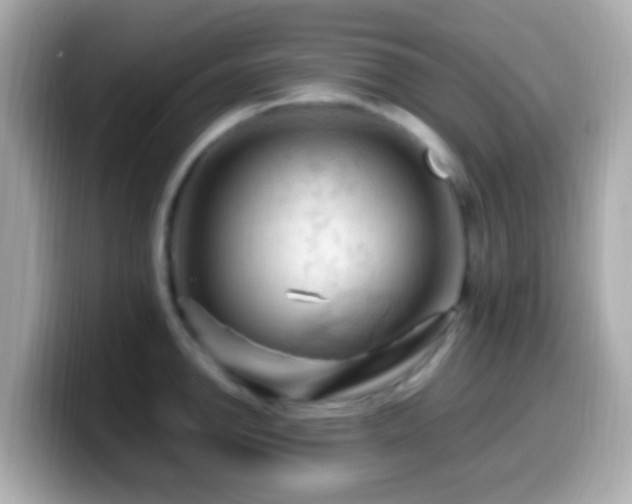 X0000099981142200805231420