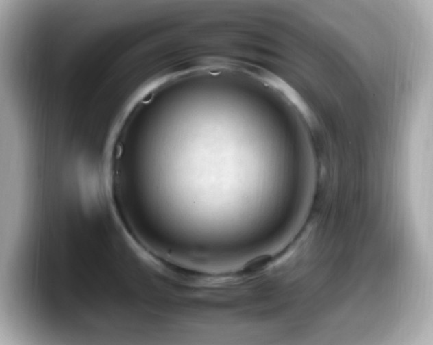 X0000099981143200805231420