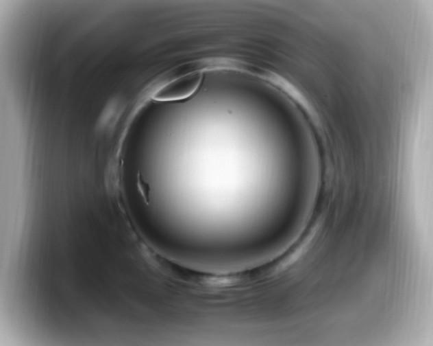 X0000099981145200805231420