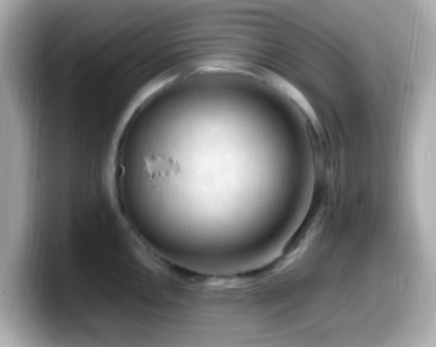 X0000099981146200805231420