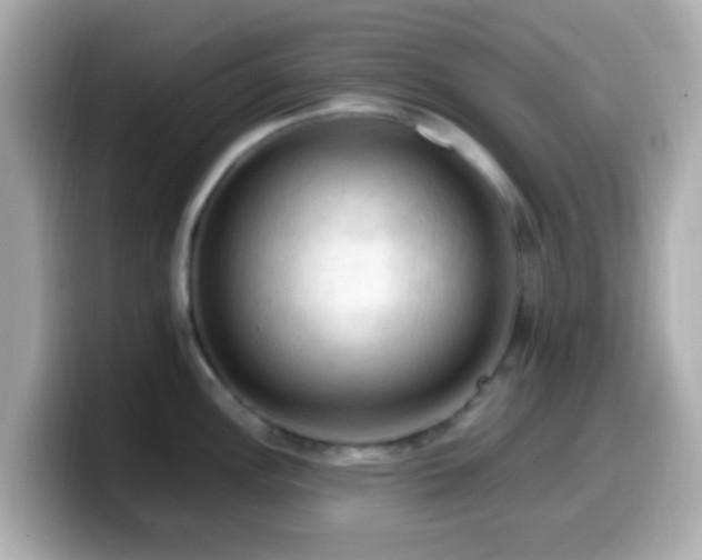 X0000099981148200805231420