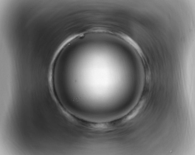 X0000099981149200805231420