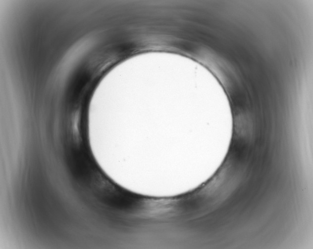X0000099981150200805231420
