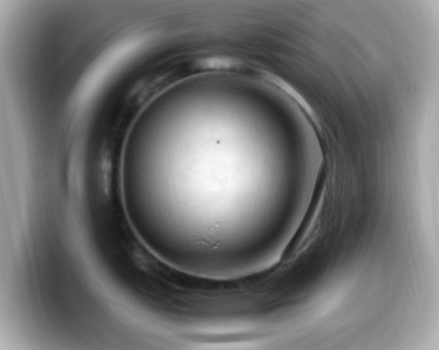 X0000099981151200805231420