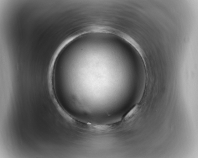 X0000099981152200805231420