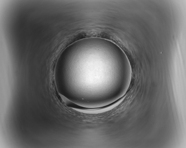 X0000099981153200805231419