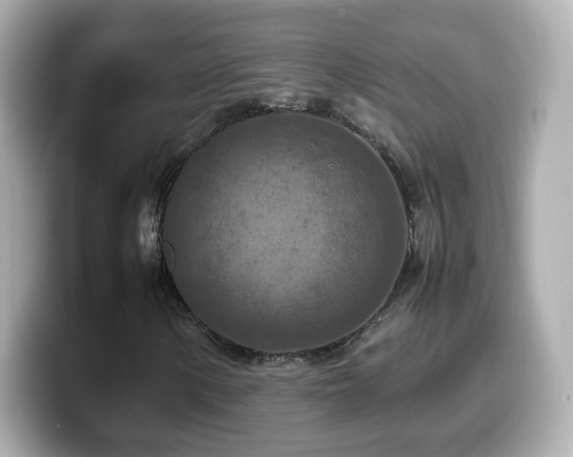 X0000099981154200805231419