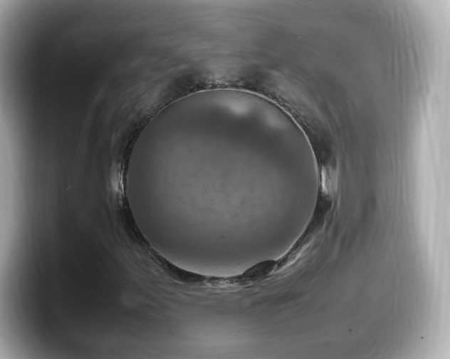 X0000099981155200805231419