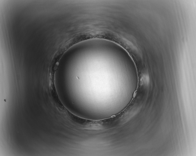 X0000099981156200805231419