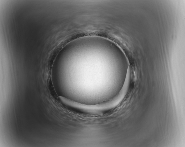 X0000099981157200805231419