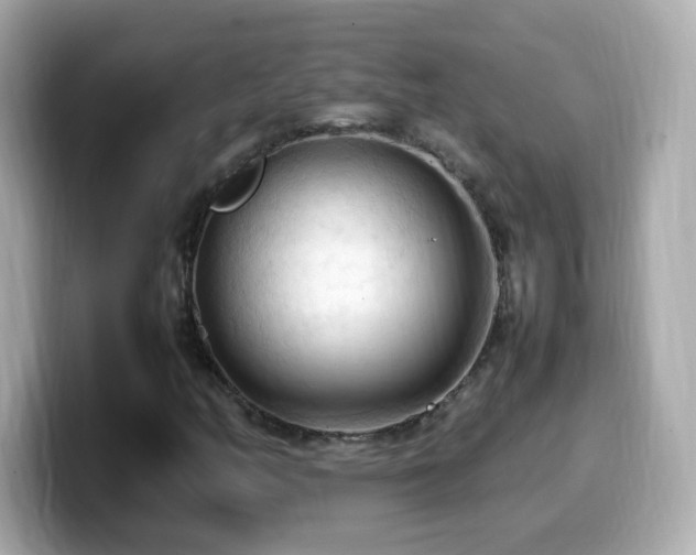 X0000099981158200805231419