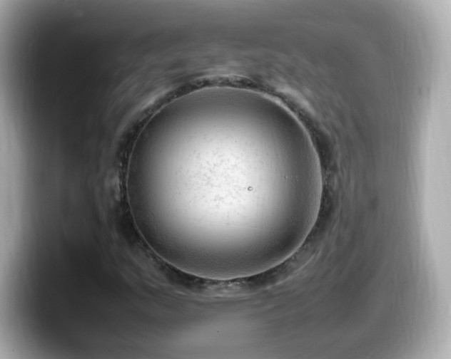 X0000099981159200805231419