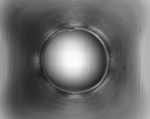 X0000099981162200805231419