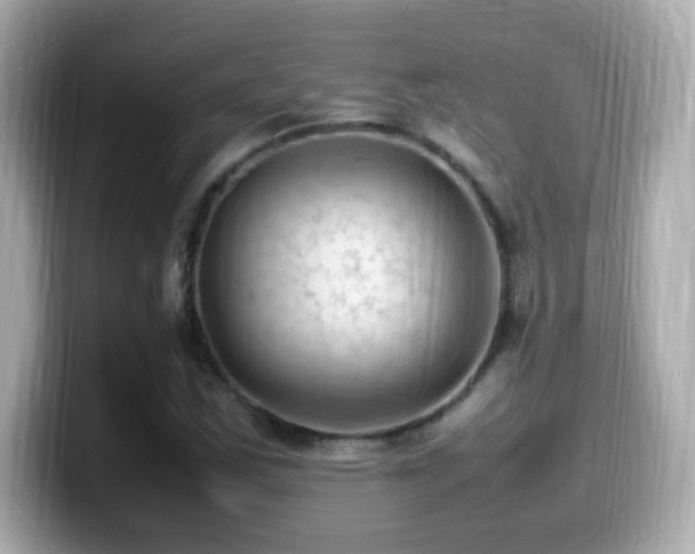 X0000099981163200805231419
