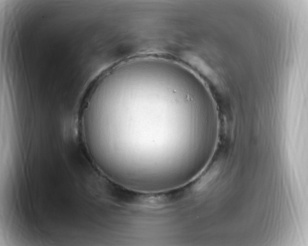 X0000099981165200805231419