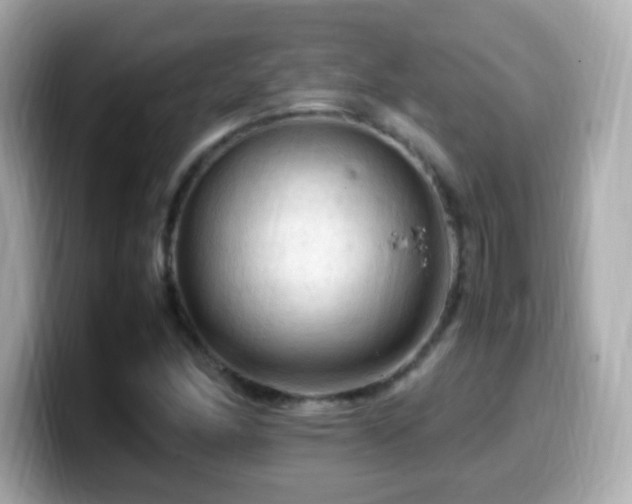 X0000099981166200805231419