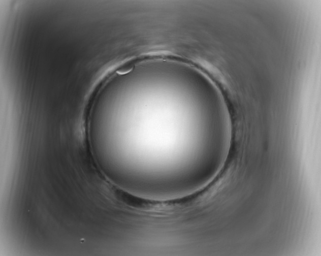 X0000099981167200805231419