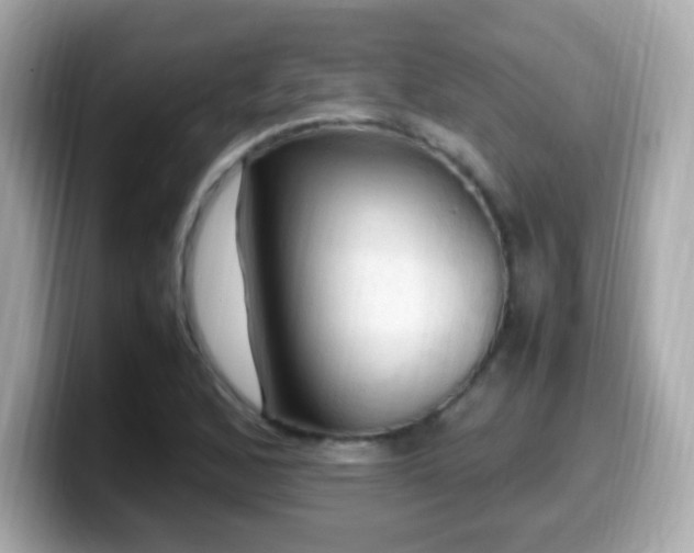 X0000099981168200805231419