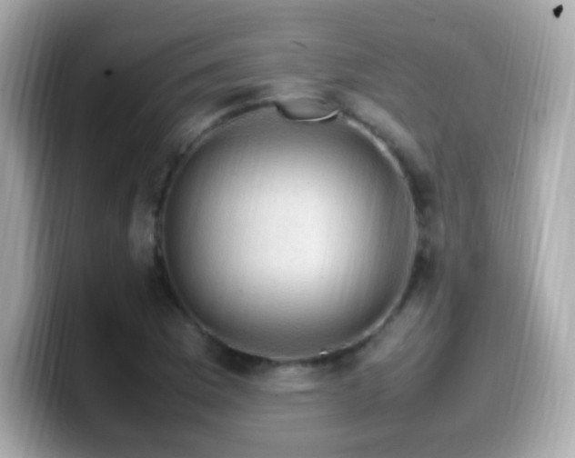 X0000099981169200805231419