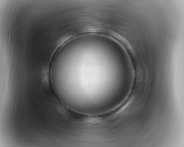 X0000099981170200805231419